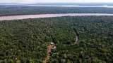 Científicos piden valorar la naturaleza más allá de la plata que produce