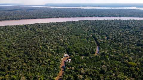 Científicos piden valorar la naturaleza más allá de la plata que produce