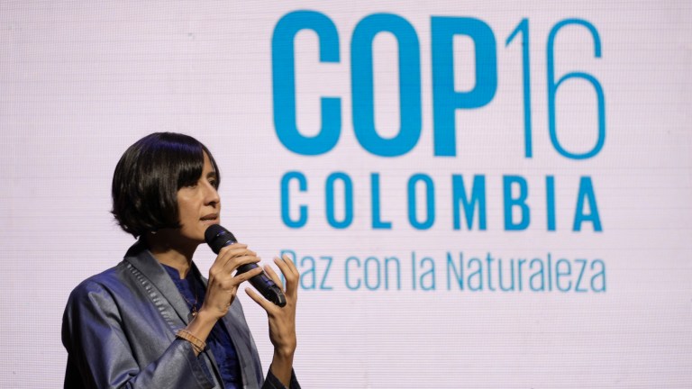 Las metas de Colombia en la COP16 que nacen de la ‘Paz con la Naturaleza’