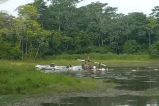 Un suboficial murió en accidente de helicóptero de la Armada Nacional en Bolívar