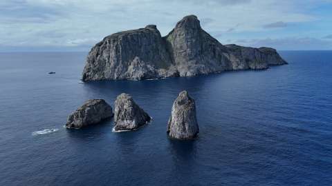 Autoridades capturan a seis presuntos responsables de extraer y mutilar tiburones en Malpelo