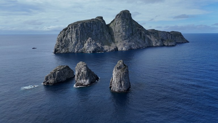 El nuevo centro que tiene Colombia para contener la pesca ilegal en Gorgona y Malpelo