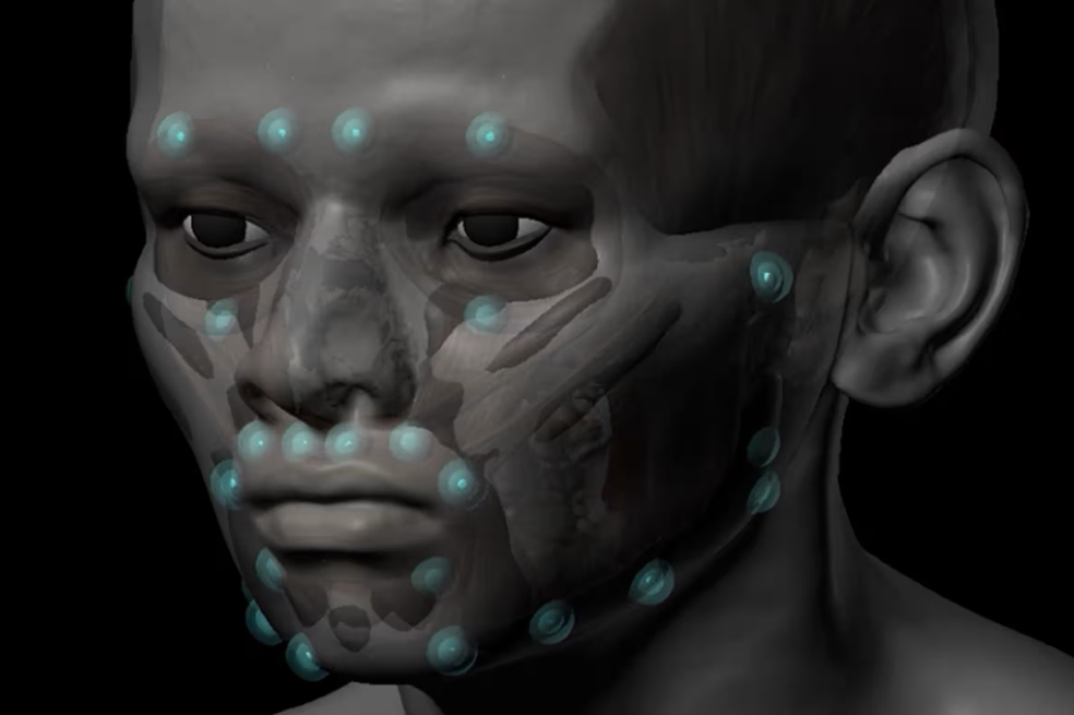 El rostro de Ta-Kr-Hb fue reconstruido con la ayuda del Dr. Chris Rynn.