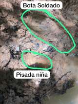 Importante hallazgo: nueva huella podría pertenecer a los menores desaparecidos