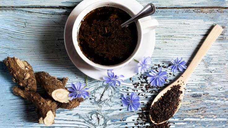 Esta es la mejor alternativa al café que puedes probar. Sus beneficios, preparación y precio son lo más atractivo de esta bebida.