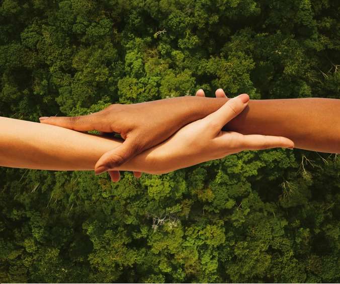En los últimos 20 años la Amazonía colombiana ha perdido 1,4 millones de hectáreas a causa de la deforestación.
