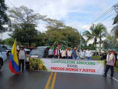 Arroceros de Campoalegre bloquearon ruta 45, en Huila