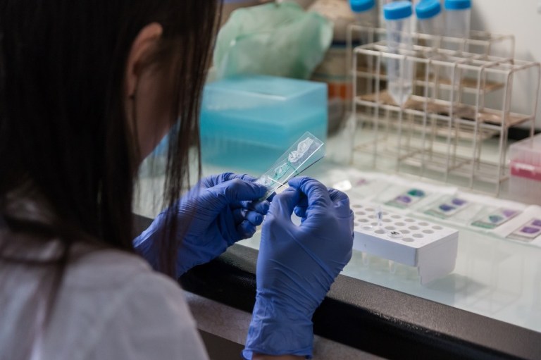 ¿Cómo se podrá identificar el próximo virus que saltará de animales a humanos?