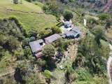 Hasta 30 cargas de café al día producirán excombatientes en Ituango, Antioquia