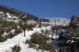Bariloche bajo nieve, pero despojada de turistas