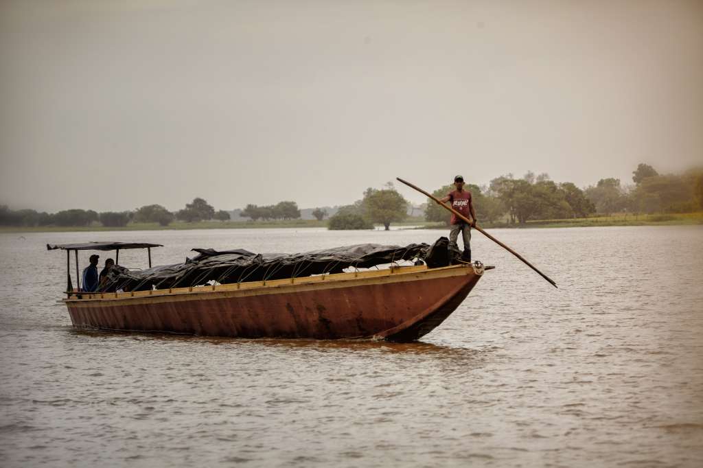 En los últimos cinco años, los once municipios de La Mojana han recibido créditos agropecuarios por más de $715 mil millones de pesos para producción convencional.
