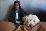Crean refugio para mascotas víctimas de violencia doméstica