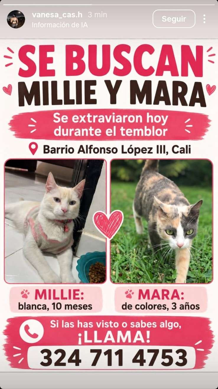 Millie y Mara
