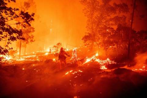 Incendios en California queman más de 800.000 hectáreas de bosque