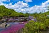 Cinco destinos imperdibles para el ecoturismo en Colombia