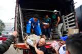 Planes gratis y conciertos en Bogotá para ayudar a víctimas del terremoto