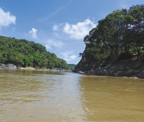 Primera área protegida regional del Guaviare: un puente que conectará la Amazonia