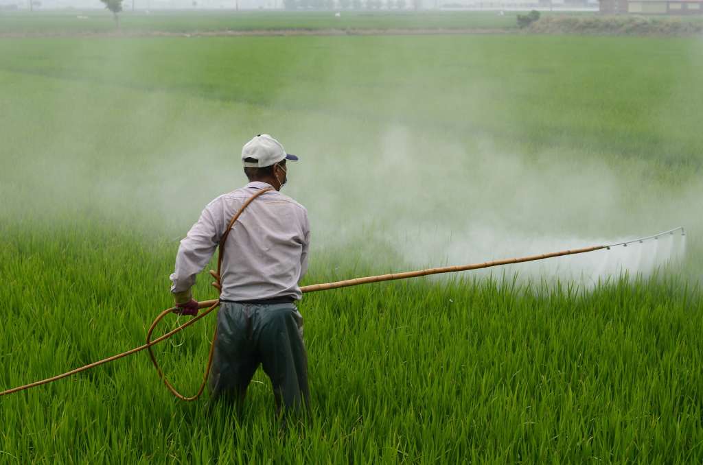 Fotografía de un trabajador rociando una pastura con un pesticida.