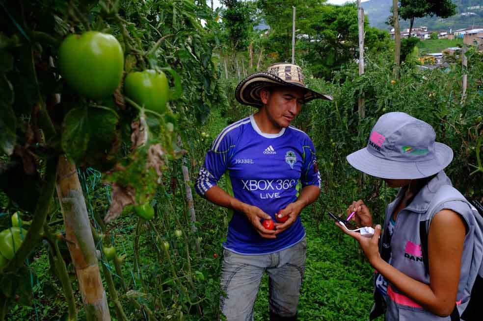 Una de las censistas del DANE durante una jornada de recolección de información del Censo en Risaralda. / Foto: Santiago Escobar (Cortesía DANE)