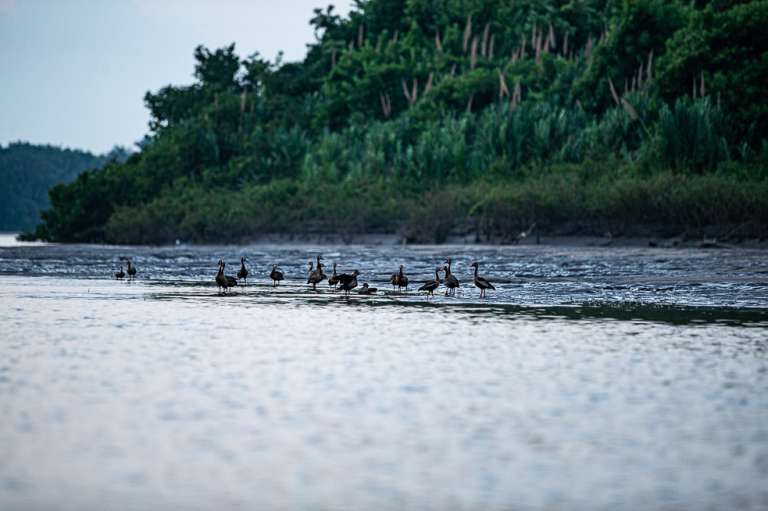 Orocue Casanare