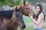 Los caballos relacionan expresiones faciales y la voz de una persona