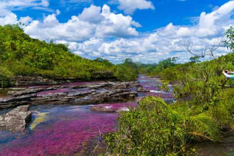 Media Solutions, la alianza entre Despegar y Procolombia para promover el turismo