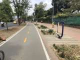 Se inauguró en Cali el primer tramo del proyecto Corredor Verde