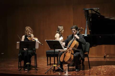 Lincoln Trio: gusto, intensidad y poder