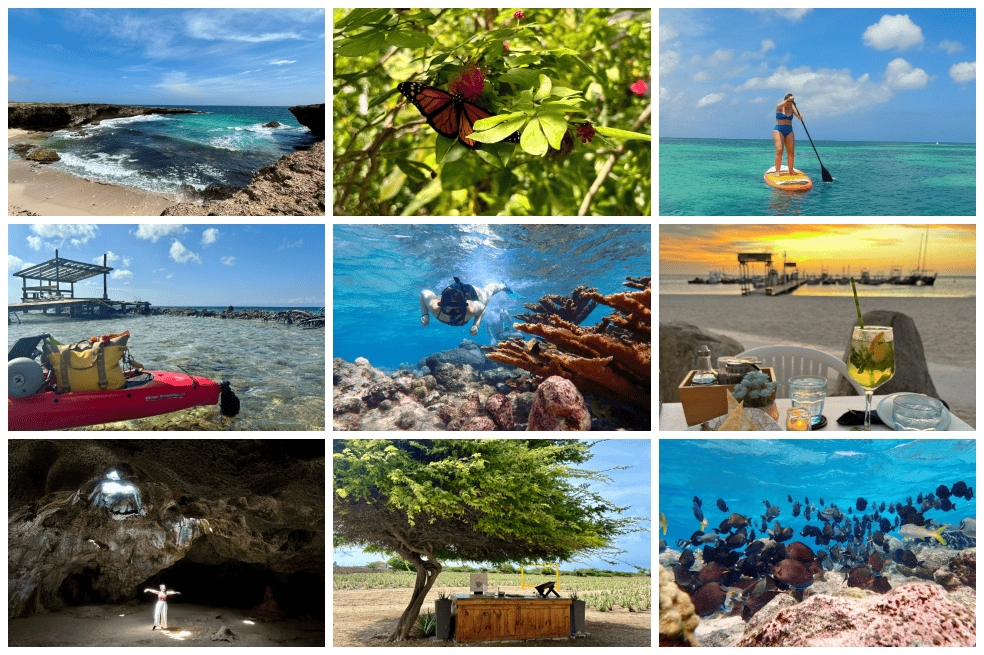 Aruba cuenta con una amplia oferta de atractivos turísticos sostenibles.