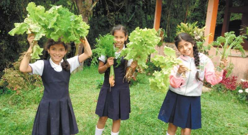 El corregimiento de Bitaco, en Valle del Cauca, realizó capacitaciones y talleres de educación medioambiental durante cuatro años.