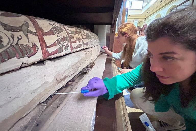 Las momias egipcias siguen oliendo a especias, dulce o madera 5.000 años después