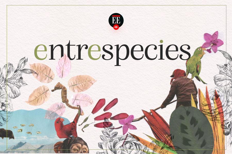 Pódcast Entre especies