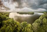 Negocios y biodiversidad: además de la narrativa, ¿qué más debe cambiar?