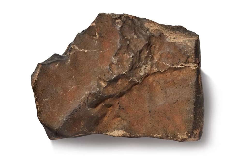 Este es el meteorito NWA 16788.