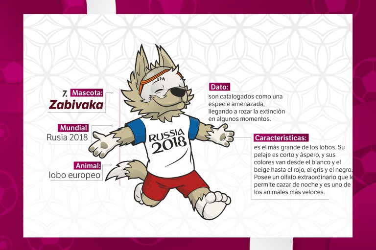 Zabivaka es un lobo europeo, una de las tantas especies que se encuentran en amenaza de extinción.