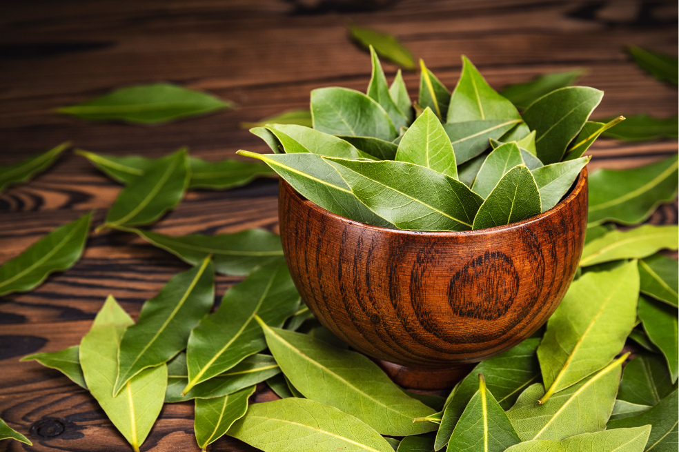 5 rituales con hojas de laurel para atraer el amor, el dinero y protegerse del mal de ojo