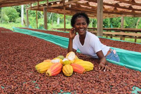 Las mujeres que cambian los recuerdos de la guerra por pepas de cacao