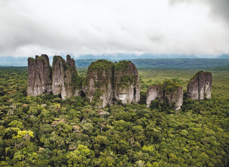 Serranía de Chiribiquete es uno de los parques más afectados del Arco de deforestación amazónico. / Camilo Díaz - WWF Colombia