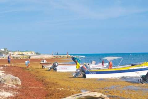 Detenidos en San Andrés 16 extranjeros por pesca ilegal