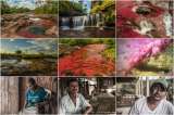 En fotos: Un recorrido desde casa por los siete colores de Caño Cristales
