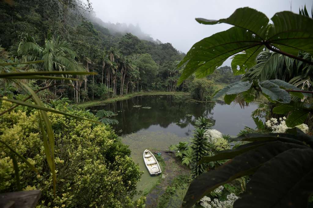 Humedal Laguna Verde