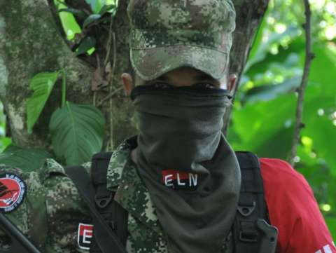 Colombia espera una "gran reacción" de Venezuela ante la presencia del ELN y el EPL en la frontera