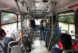 Confinamiento total para Navidad y Año Nuevo en Ibagué, Tolima: así funcionará