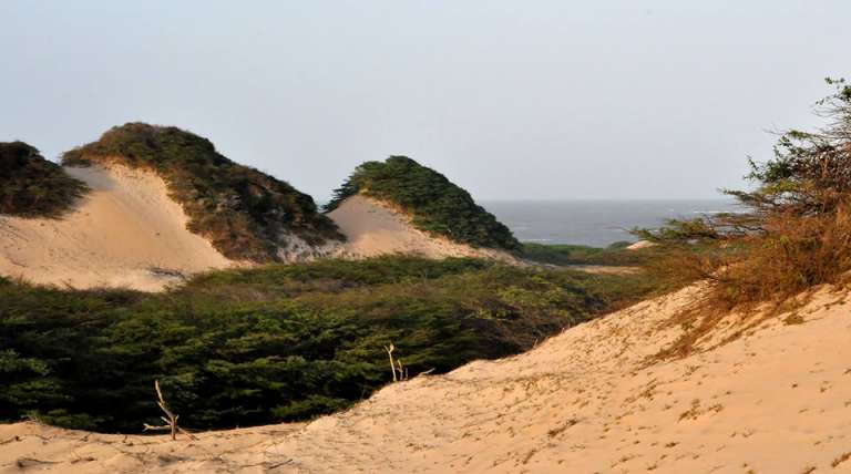 Parques Nacionales Naturales de Colombia