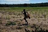 La salud de más de 4 mil millones de personas está en riesgo debido al estrés por calor