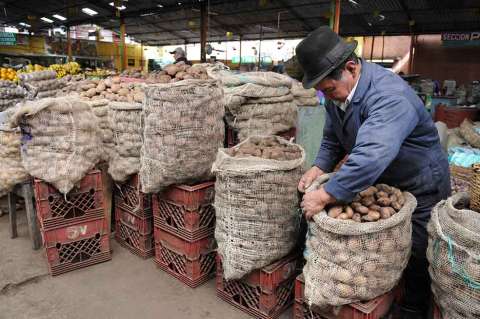 Conozca los puntos de Bogotá donde podrá participar de la “Papatón” este fin de semana