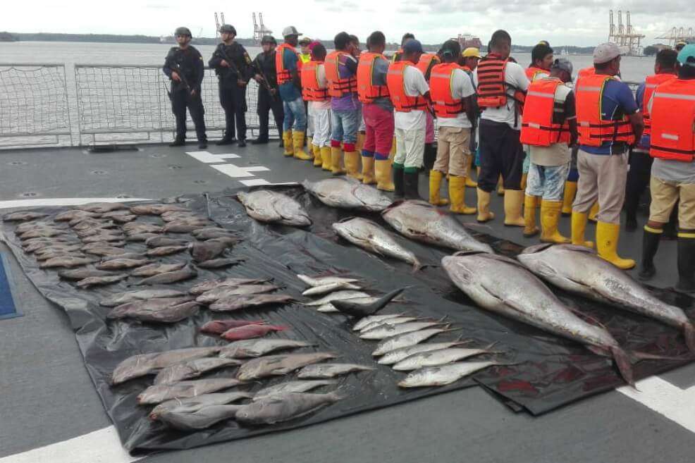 Esta es parte de la pesca que encontraron las autoridades en las embarcaciones. / Cortesía PNN