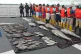 Interceptan barcos extranjeros que pescaban de manera ilegal en Malpelo
