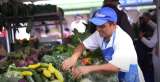 El campo más cerca de la ciudad