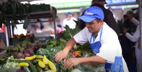 El campo más cerca de la ciudad